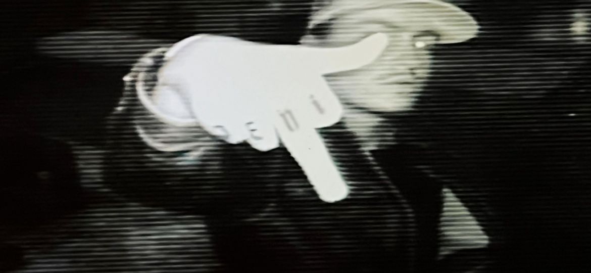 attachment-6679c2cdae503433de9249aa