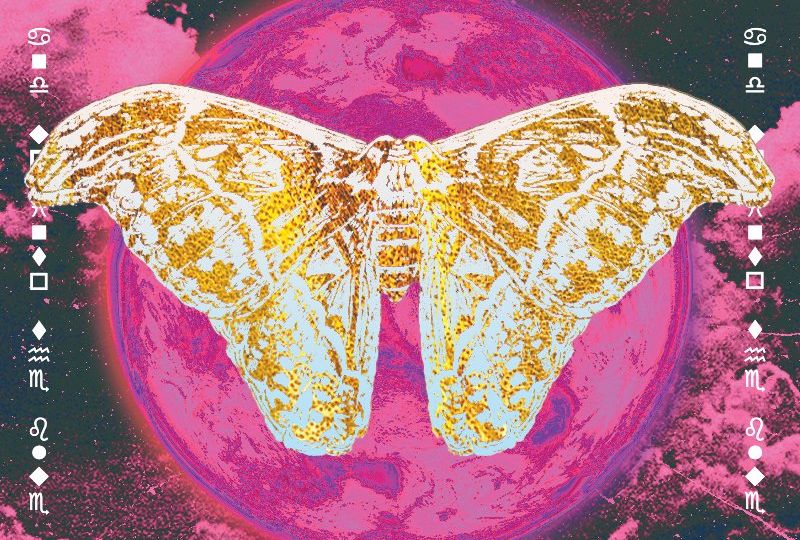 attachment-667c828b8c47e4427f8c33a6